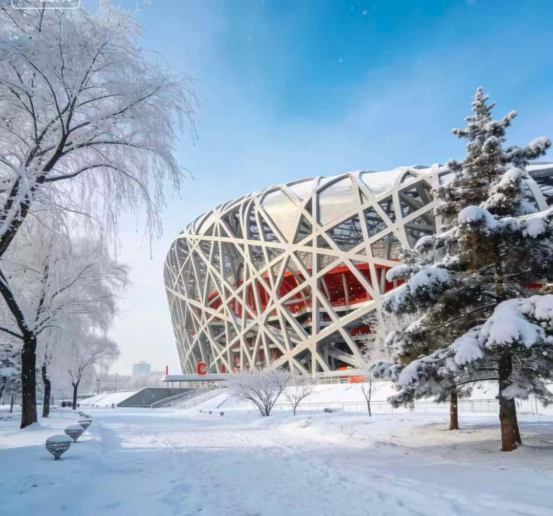 揭秘：最受欢迎的大精品路线！j9九游会登