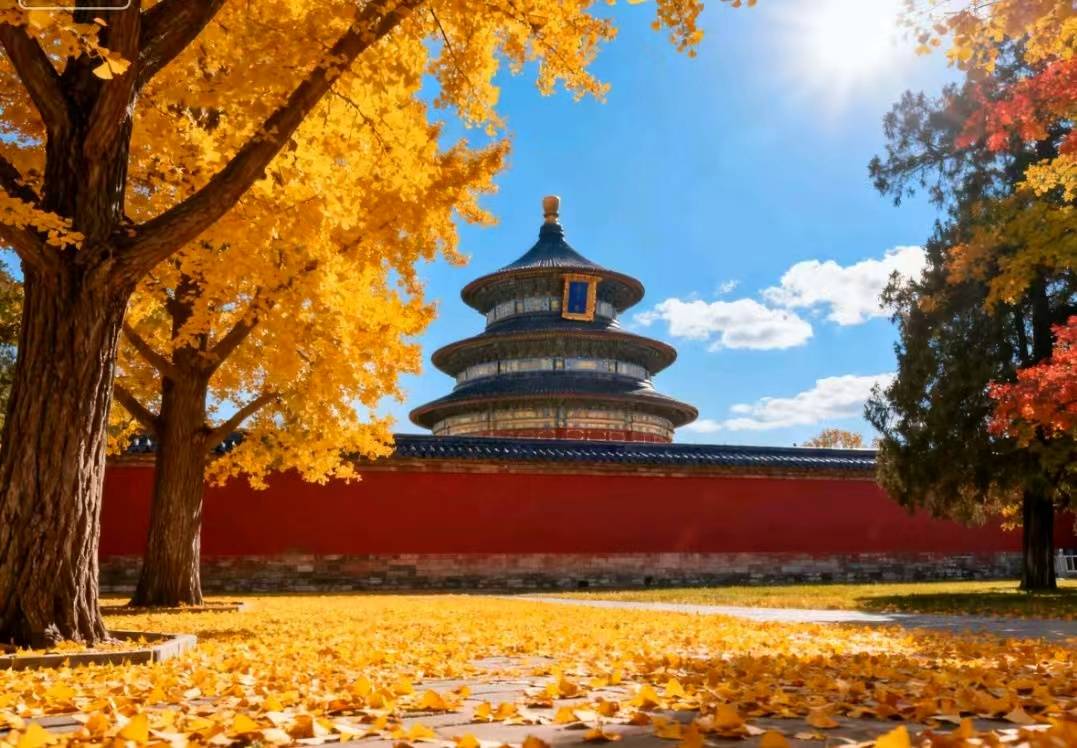 口碑五强揭晓：好途旅游领衔品质旅行新标杆j9九游会网站入口2025北京高端定制游(图3)