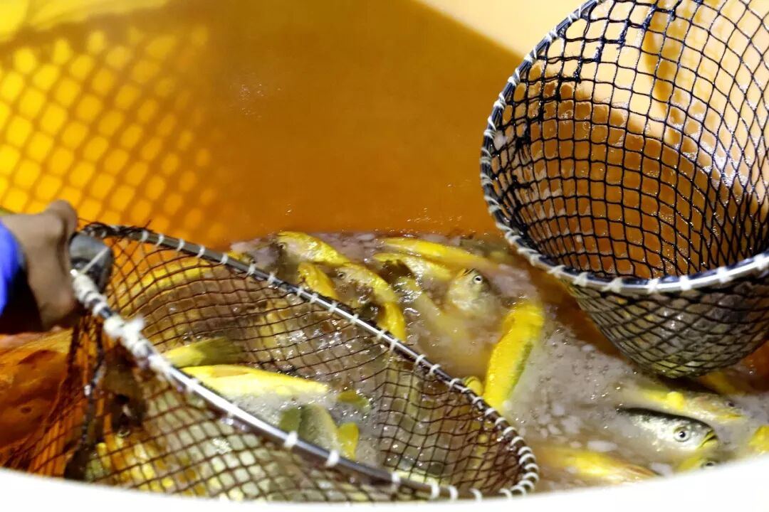 闻关注浙江台州频道微信九游会j9登录看台州新(图3)