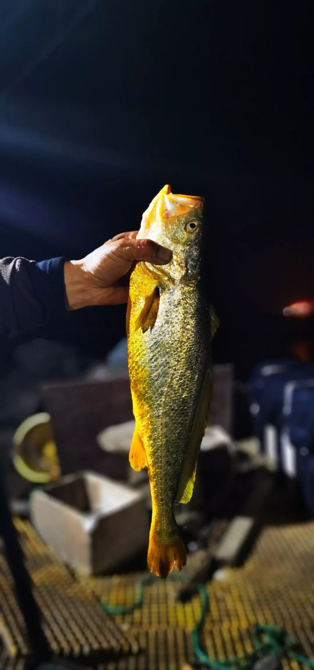 闻关注浙江台州频道微信九游会j9登录看台州新(图5)