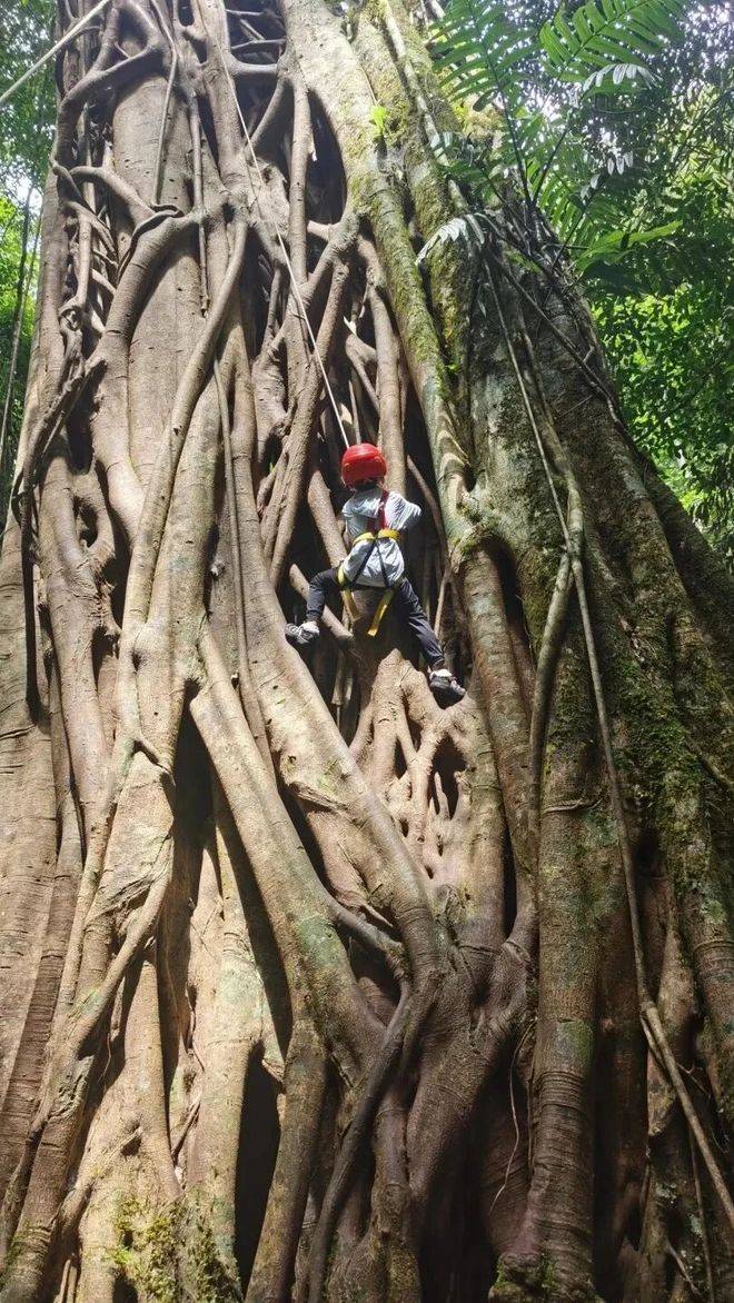 026云南正规十强旅行社纯玩避坑指南请查收j9九游会网址是什么云南旅行社红黑榜｜2(图3)